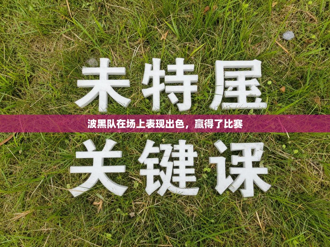 波黑队在场上表现出色，赢得了比赛  第1张