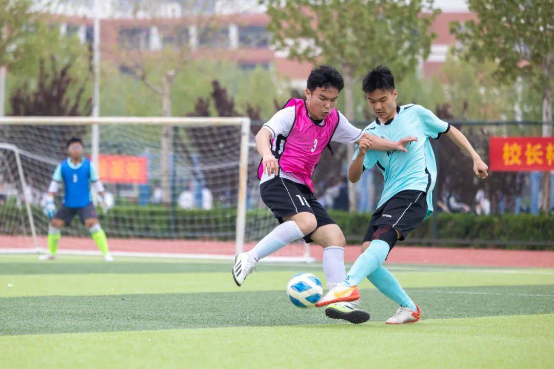 关于足球运动的魅力在于团结协作和技术的完美结合的信息 关于足球运动的魅力在于团结协作和技术的完美结合的信息