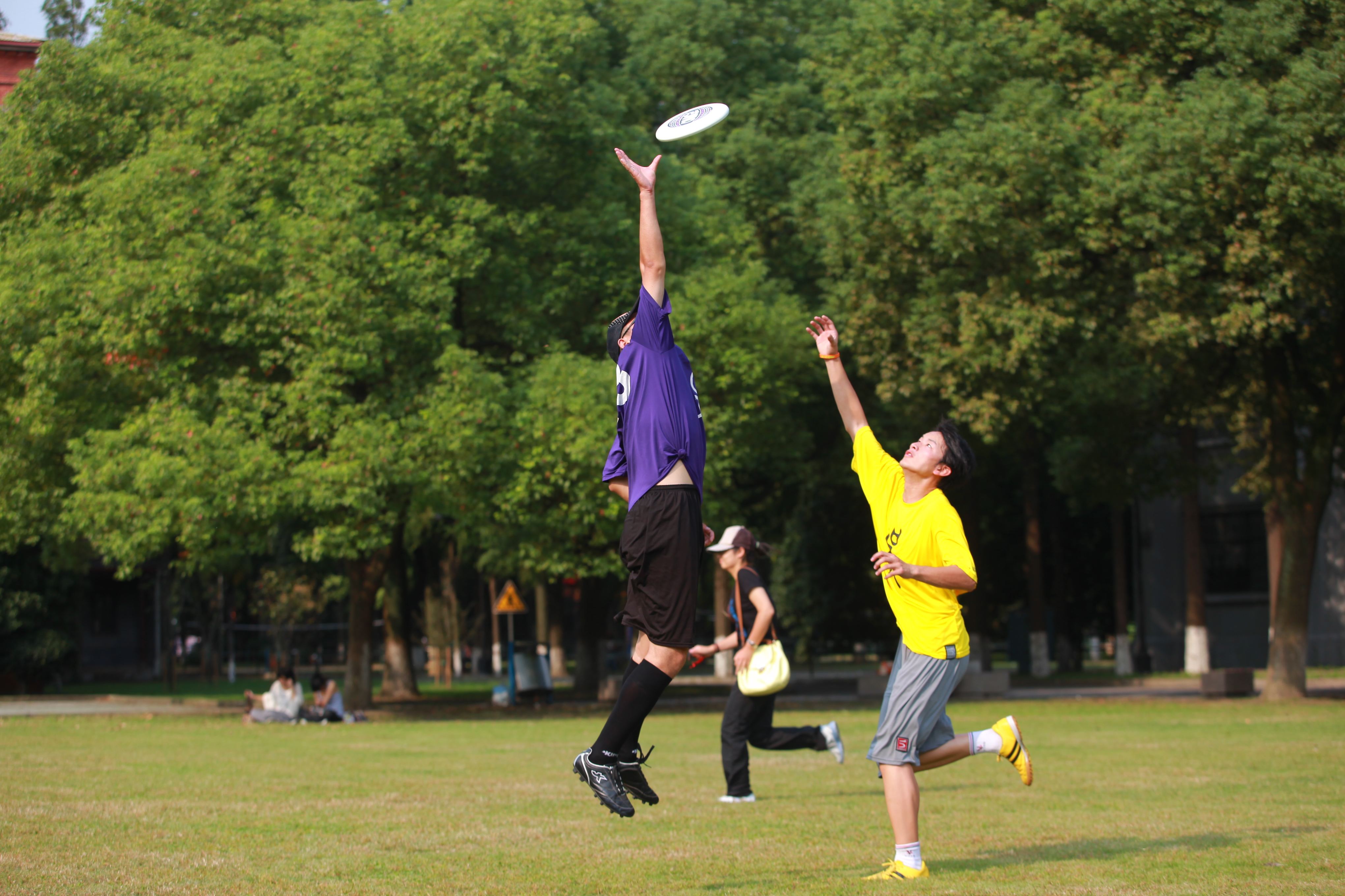 九游体育在线-大洋洲地区篮球赛事吸引全球目光