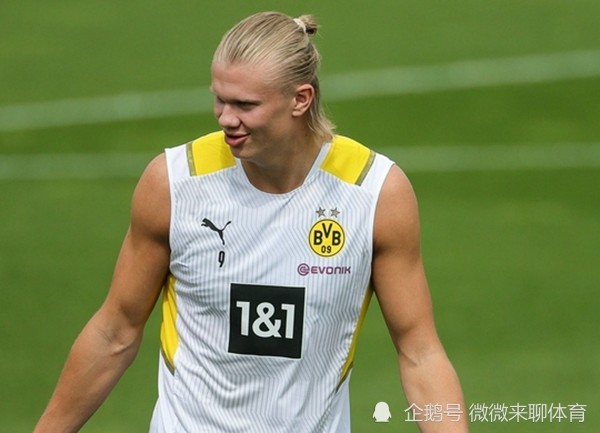 霍芬海姆无欲无求霍芬海姆不求胜利 霍芬海姆无欲无求霍芬海姆不求胜利