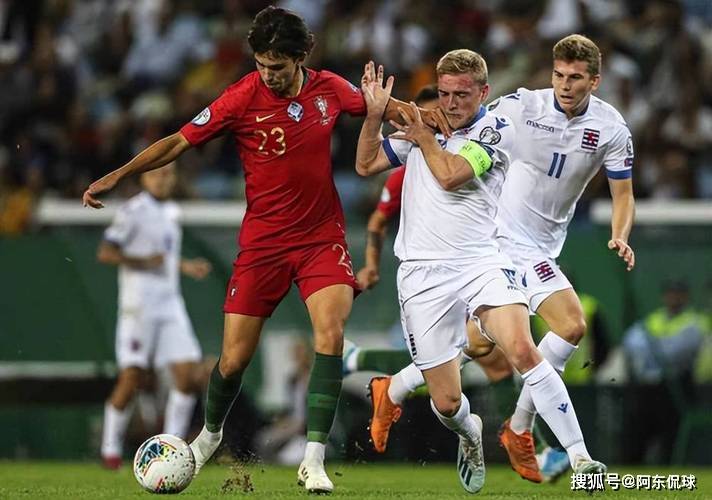 包含冰岛队在欧预赛中面对困境,需振作精神的词条 包含冰岛队在欧预赛中面对困境,需振作精神的词条