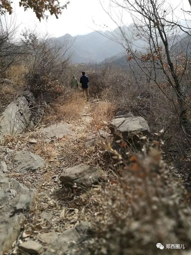 关于甘湖谷队员联线逆袭，反击成功示范待后生的信息